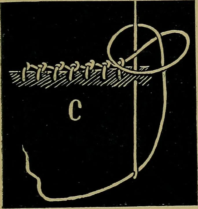 An illustration from Handbuch der Spitzenkunde, Technisches und Geschichtliches über die Näh-, Klöppel- und Maschinenspitzen, 1894, leaf 101