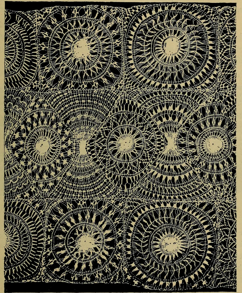 An illustration from Handbuch der Spitzenkunde, Technisches und Geschichtliches über die Näh-, Klöppel- und Maschinenspitzen, 1894, leaf 133