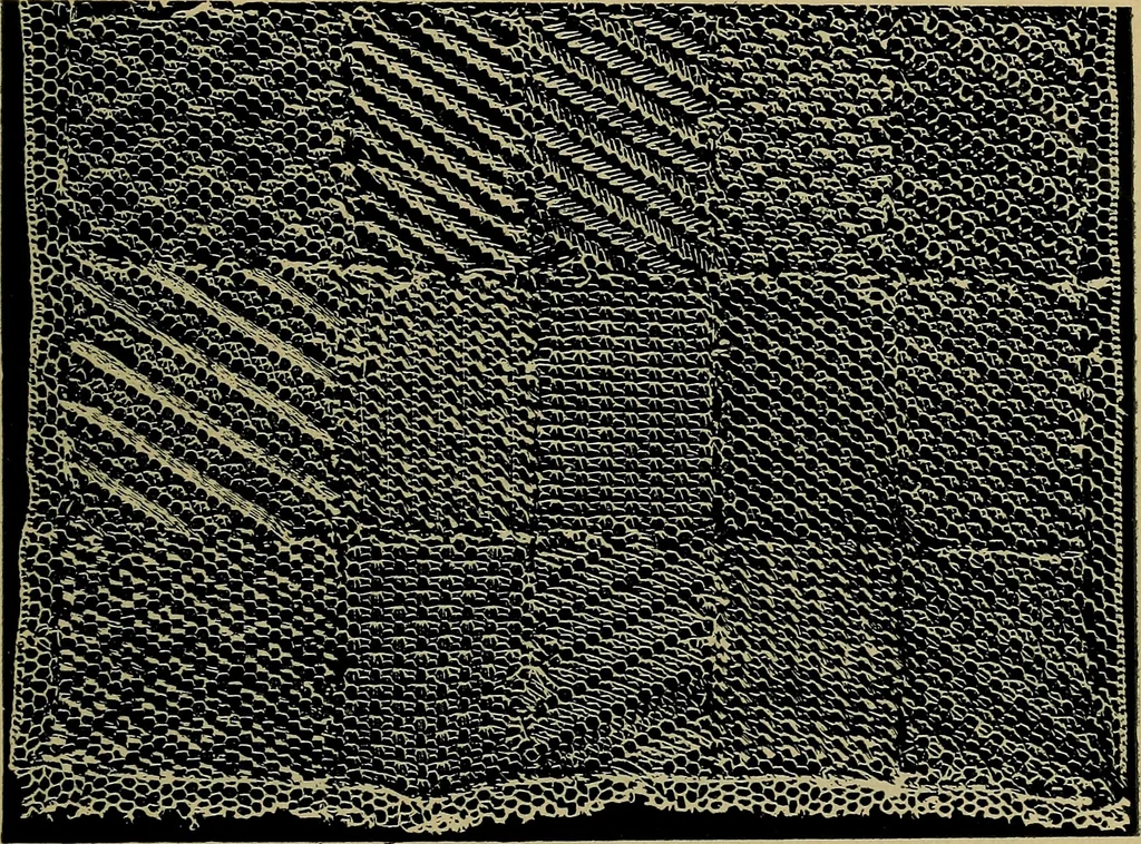 An illustration from Handbuch der Spitzenkunde, Technisches und Geschichtliches über die Näh-, Klöppel- und Maschinenspitzen, 1894, leaf 137