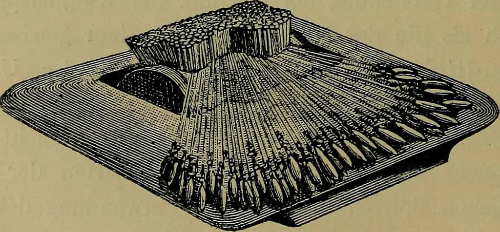 An illustration from Handbuch der Spitzenkunde, Technisches und Geschichtliches über die Näh-, Klöppel- und Maschinenspitzen, 1894, leaf 142
