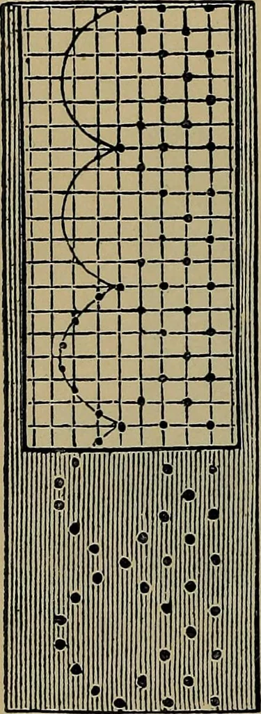 An illustration from Handbuch der Spitzenkunde, Technisches und Geschichtliches über die Näh-, Klöppel- und Maschinenspitzen, 1894, leaf 146