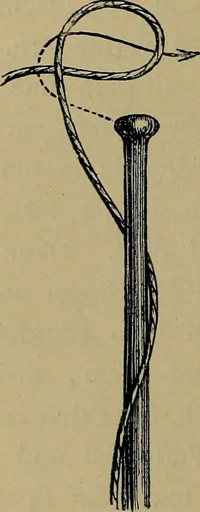 An illustration from Handbuch der Spitzenkunde, Technisches und Geschichtliches über die Näh-, Klöppel- und Maschinenspitzen, 1894, leaf 150