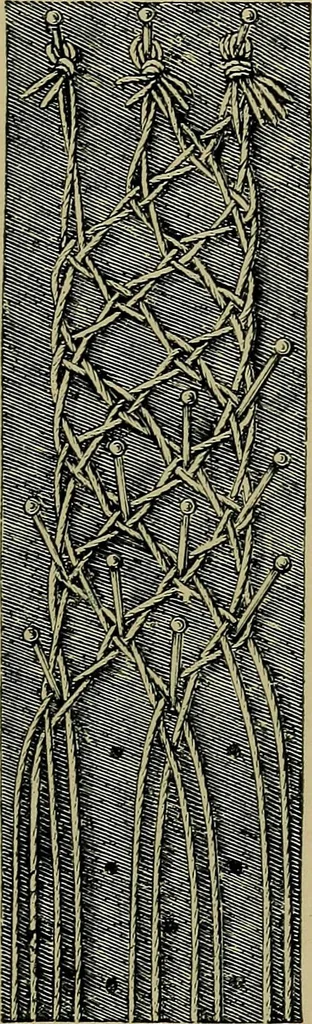 An illustration from Handbuch der Spitzenkunde, Technisches und Geschichtliches über die Näh-, Klöppel- und Maschinenspitzen, 1894, leaf 157