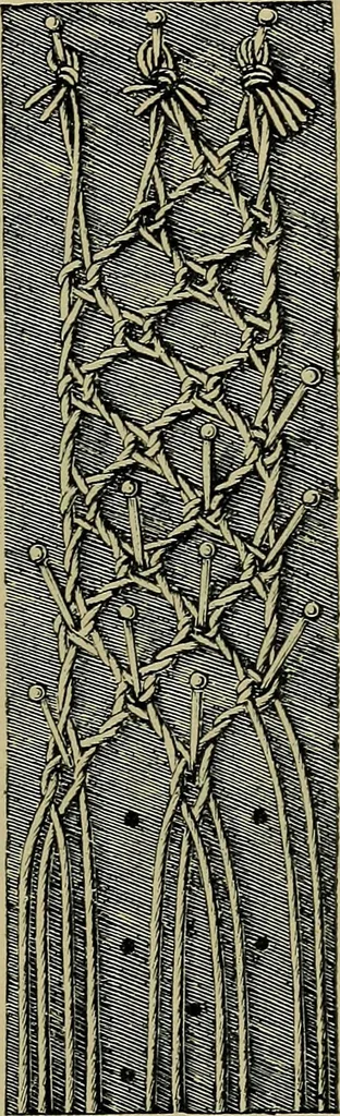 An illustration from Handbuch der Spitzenkunde, Technisches und Geschichtliches über die Näh-, Klöppel- und Maschinenspitzen, 1894, leaf 157