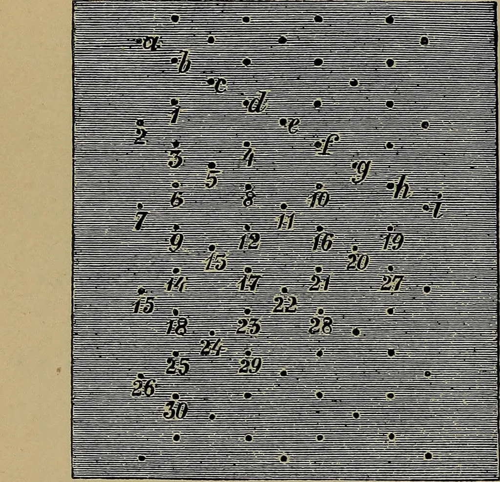 An illustration from Handbuch der Spitzenkunde, Technisches und Geschichtliches über die Näh-, Klöppel- und Maschinenspitzen, 1894, leaf 158