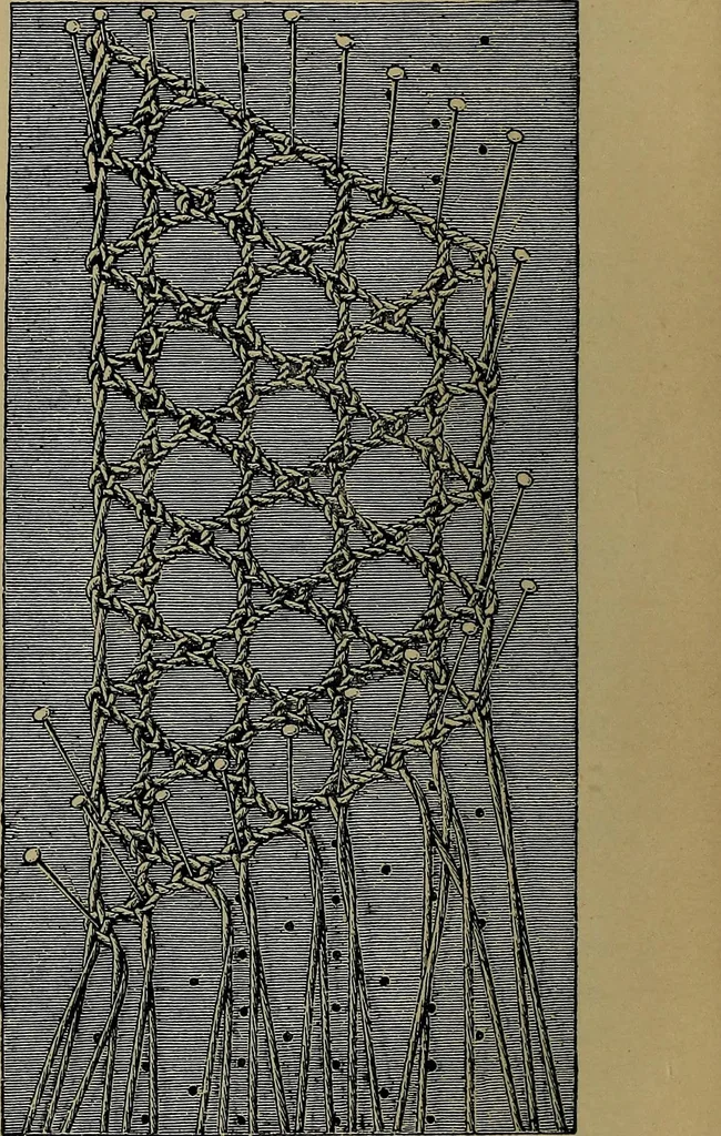 An illustration from Handbuch der Spitzenkunde, Technisches und Geschichtliches über die Näh-, Klöppel- und Maschinenspitzen, 1894, leaf 158