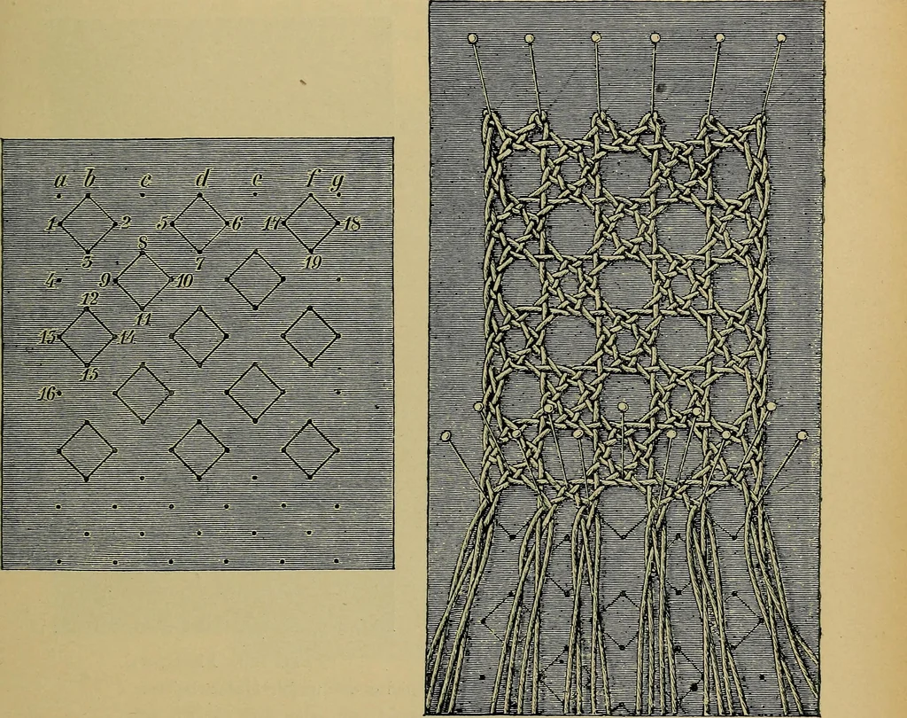 An illustration from Handbuch der Spitzenkunde, Technisches und Geschichtliches über die Näh-, Klöppel- und Maschinenspitzen, 1894, leaf 159