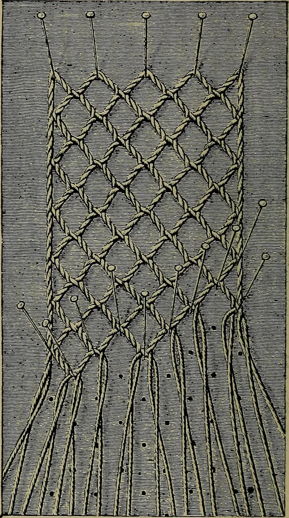 An illustration from Handbuch der Spitzenkunde, Technisches und Geschichtliches über die Näh-, Klöppel- und Maschinenspitzen, 1894, leaf 160