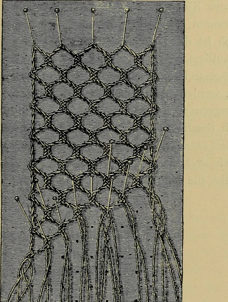 An illustration from Handbuch der Spitzenkunde, Technisches und Geschichtliches über die Näh-, Klöppel- und Maschinenspitzen, 1894, leaf 161