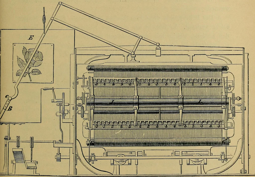 An illustration from Handbuch der Spitzenkunde, Technisches und Geschichtliches über die Näh-, Klöppel- und Maschinenspitzen, 1894, leaf 191