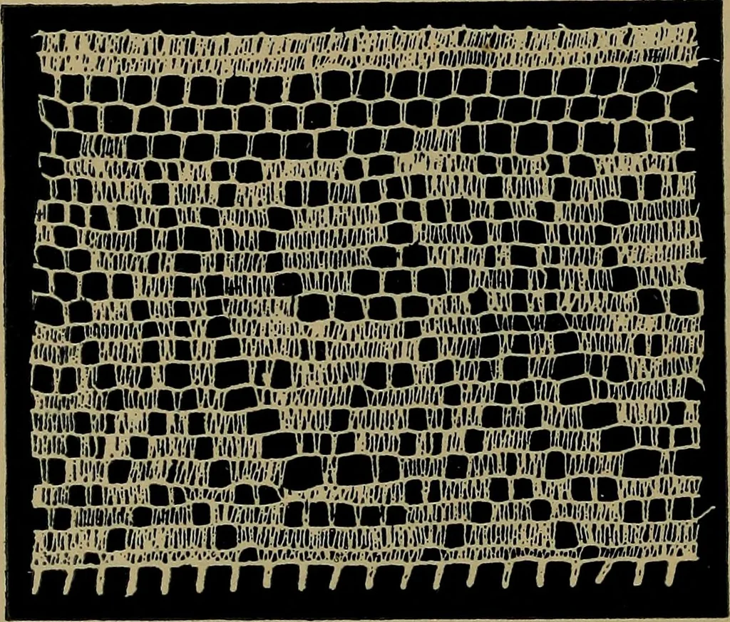 An illustration from Handbuch der Spitzenkunde, Technisches und Geschichtliches über die Näh-, Klöppel- und Maschinenspitzen, 1894, leaf 202