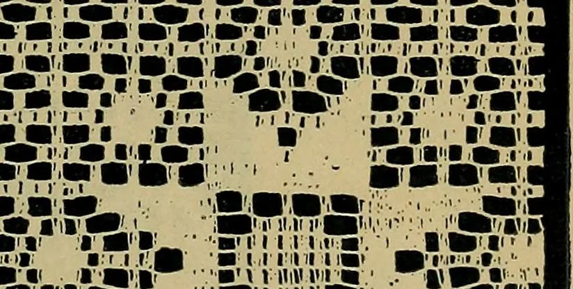 An illustration from Handbuch der Spitzenkunde, Technisches und Geschichtliches über die Näh-, Klöppel- und Maschinenspitzen, 1894, leaf 203