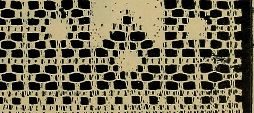 An illustration from Handbuch der Spitzenkunde, Technisches und Geschichtliches über die Näh-, Klöppel- und Maschinenspitzen, 1894, leaf 203