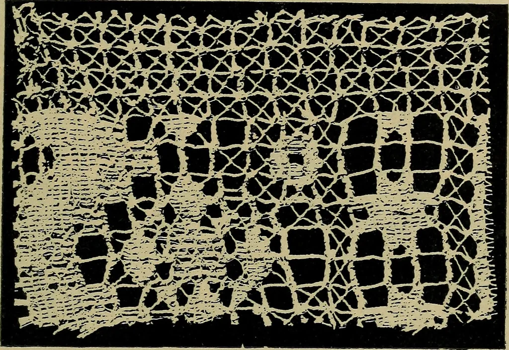 An illustration from Handbuch der Spitzenkunde, Technisches und Geschichtliches über die Näh-, Klöppel- und Maschinenspitzen, 1894, leaf 205