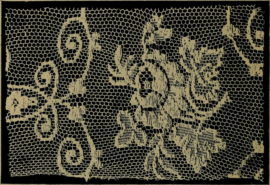 An illustration from Handbuch der Spitzenkunde, Technisches und Geschichtliches über die Näh-, Klöppel- und Maschinenspitzen, 1894, leaf 206