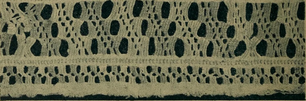 An illustration from Handbuch der Spitzenkunde, Technisches und Geschichtliches über die Näh-, Klöppel- und Maschinenspitzen, 1894, leaf 24