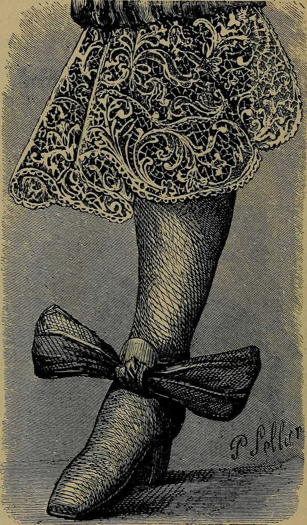An illustration from Handbuch der Spitzenkunde, Technisches und Geschichtliches über die Näh-, Klöppel- und Maschinenspitzen, 1894, leaf 264