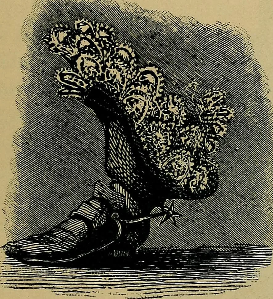 An illustration from Handbuch der Spitzenkunde, Technisches und Geschichtliches über die Näh-, Klöppel- und Maschinenspitzen, 1894, leaf 265