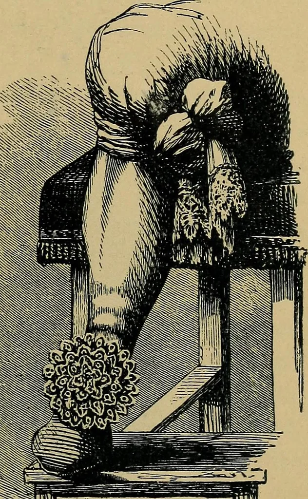 An illustration from Handbuch der Spitzenkunde, Technisches und Geschichtliches über die Näh-, Klöppel- und Maschinenspitzen, 1894, leaf 265