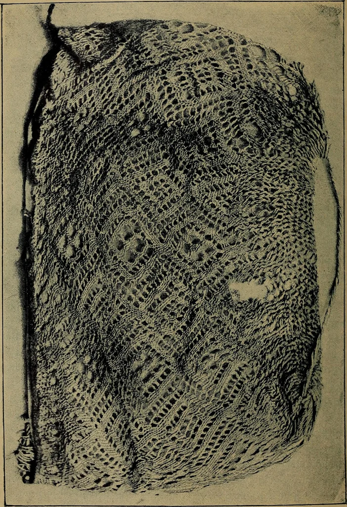 An illustration from Handbuch der Spitzenkunde, Technisches und Geschichtliches über die Näh-, Klöppel- und Maschinenspitzen, 1894, leaf 28