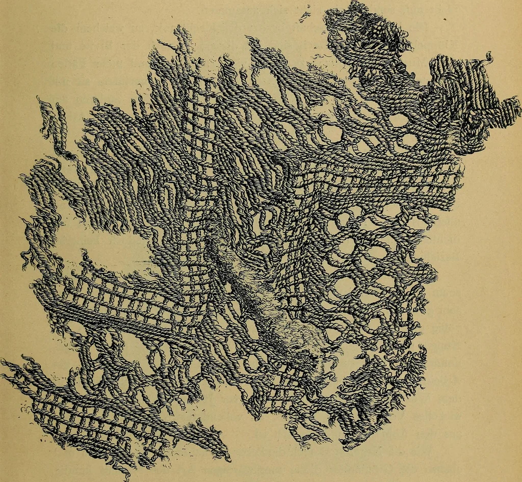 An illustration from Handbuch der Spitzenkunde, Technisches und Geschichtliches über die Näh-, Klöppel- und Maschinenspitzen, 1894, leaf 29