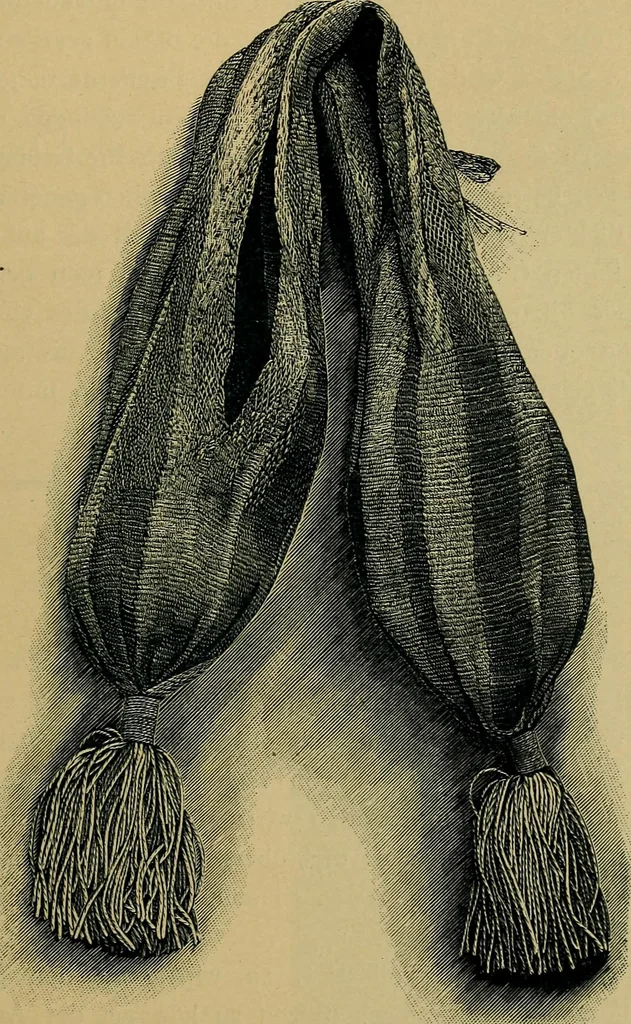 An illustration from Handbuch der Spitzenkunde, Technisches und Geschichtliches über die Näh-, Klöppel- und Maschinenspitzen, 1894, leaf 31