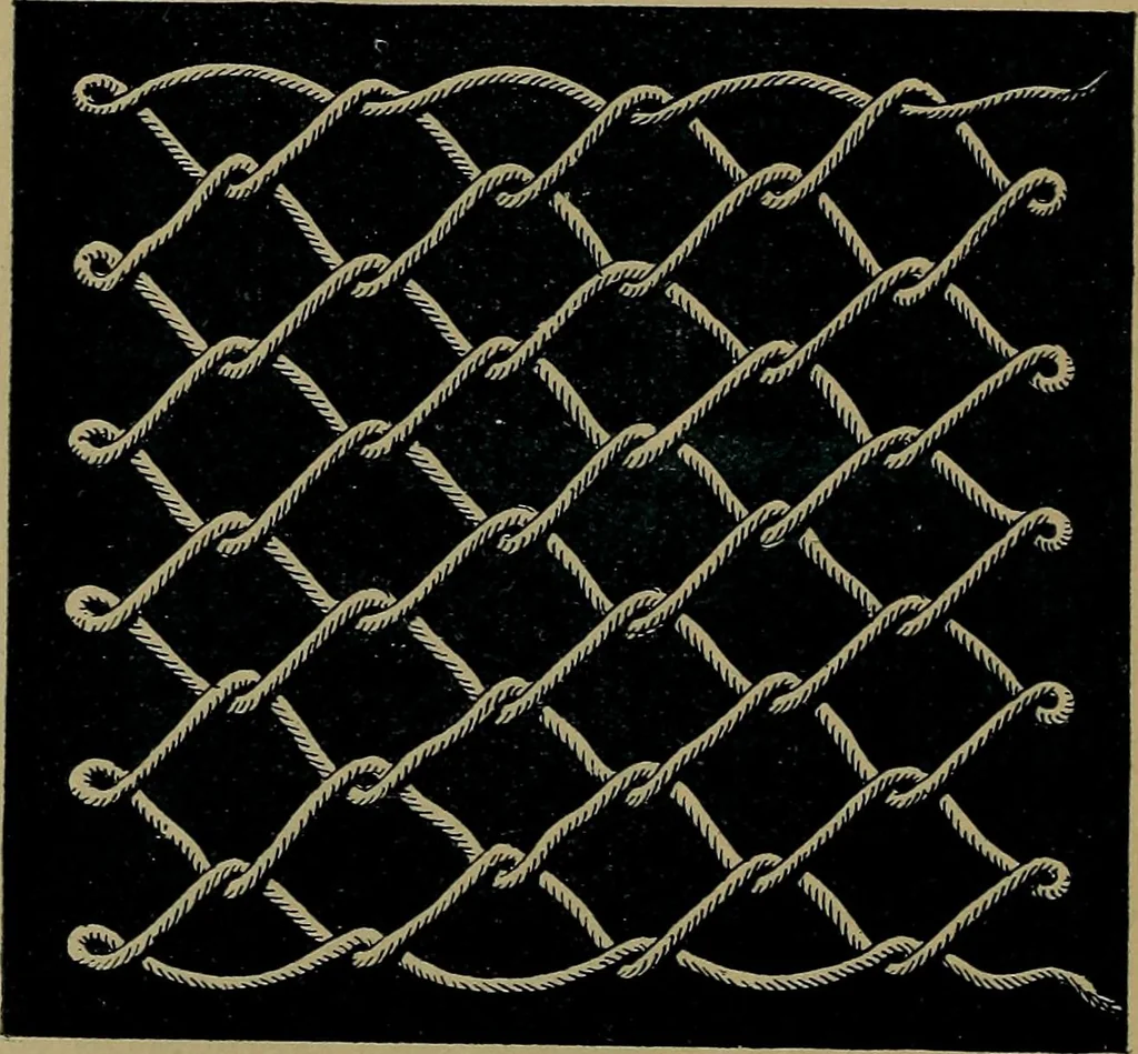 An illustration from Handbuch der Spitzenkunde, Technisches und Geschichtliches über die Näh-, Klöppel- und Maschinenspitzen, 1894, leaf 34
