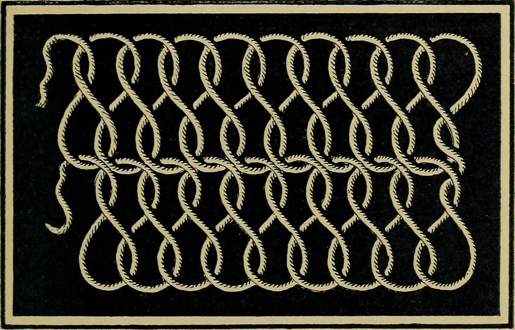 An illustration from Handbuch der Spitzenkunde, Technisches und Geschichtliches über die Näh-, Klöppel- und Maschinenspitzen, 1894, leaf 37