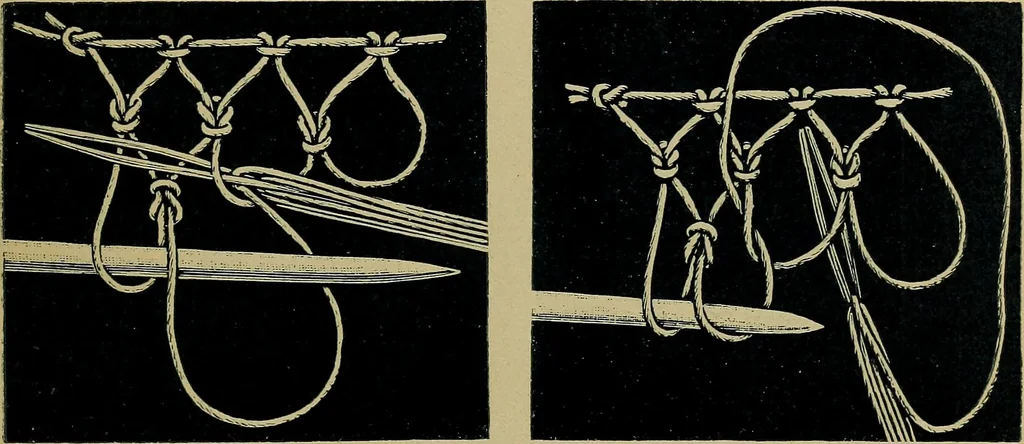 An illustration from Handbuch der Spitzenkunde, Technisches und Geschichtliches über die Näh-, Klöppel- und Maschinenspitzen, 1894, leaf 41