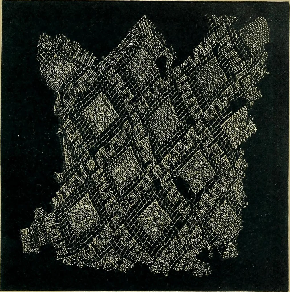 An illustration from Handbuch der Spitzenkunde, Technisches und Geschichtliches über die Näh-, Klöppel- und Maschinenspitzen, 1894, leaf 43