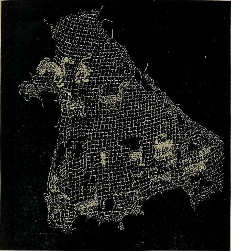 An illustration from Handbuch der Spitzenkunde, Technisches und Geschichtliches über die Näh-, Klöppel- und Maschinenspitzen, 1894, leaf 44