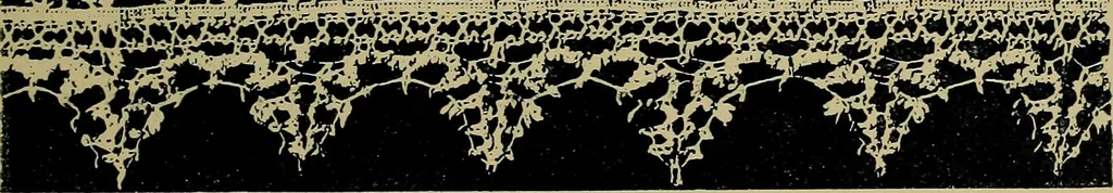 An illustration from Handbuch der Spitzenkunde, Technisches und Geschichtliches über die Näh-, Klöppel- und Maschinenspitzen, 1894, leaf 63