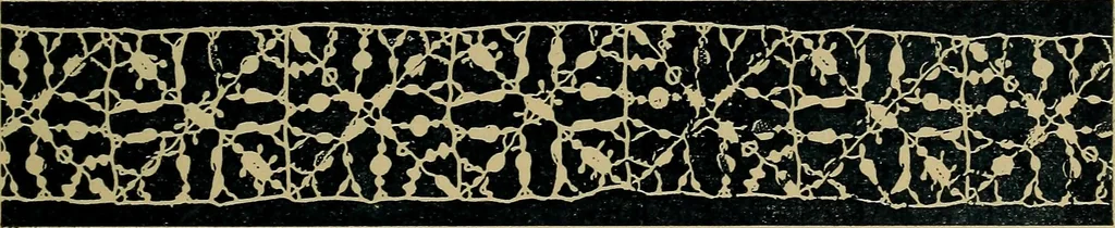 An illustration from Handbuch der Spitzenkunde, Technisches und Geschichtliches über die Näh-, Klöppel- und Maschinenspitzen, 1894, leaf 75