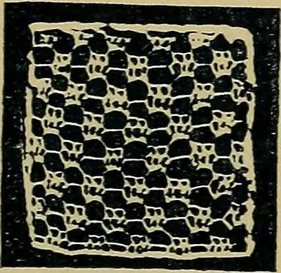 An illustration from Handbuch der Spitzenkunde, Technisches und Geschichtliches über die Näh-, Klöppel- und Maschinenspitzen, 1894, leaf 87