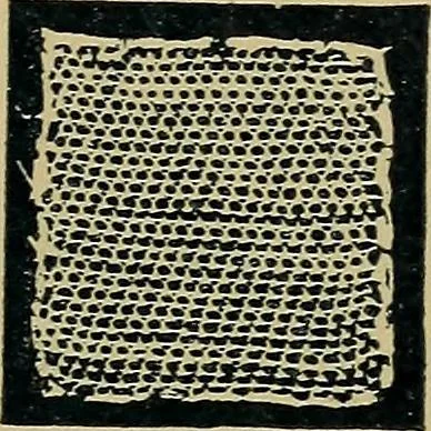 An illustration from Handbuch der Spitzenkunde, Technisches und Geschichtliches über die Näh-, Klöppel- und Maschinenspitzen, 1894, leaf 87