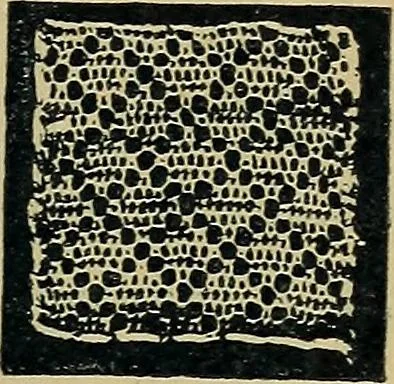 An illustration from Handbuch der Spitzenkunde, Technisches und Geschichtliches über die Näh-, Klöppel- und Maschinenspitzen, 1894, leaf 87
