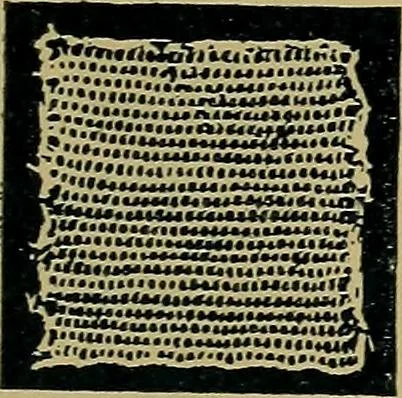An illustration from Handbuch der Spitzenkunde, Technisches und Geschichtliches über die Näh-, Klöppel- und Maschinenspitzen, 1894, leaf 87