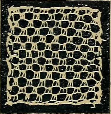 An illustration from Handbuch der Spitzenkunde, Technisches und Geschichtliches über die Näh-, Klöppel- und Maschinenspitzen, 1894, leaf 87