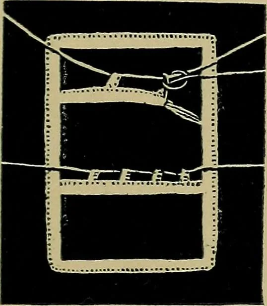 An illustration from Handbuch der Spitzenkunde, Technisches und Geschichtliches über die Näh-, Klöppel- und Maschinenspitzen, 1894, leaf 89