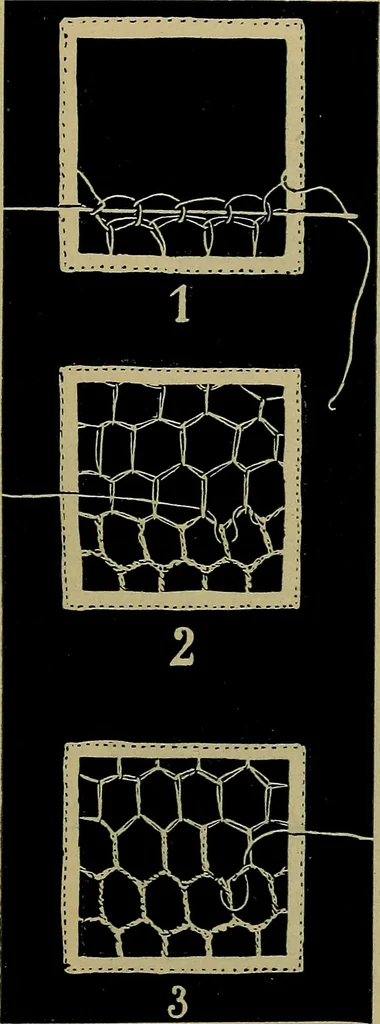 An illustration from Handbuch der Spitzenkunde, Technisches und Geschichtliches über die Näh-, Klöppel- und Maschinenspitzen, 1894, leaf 91