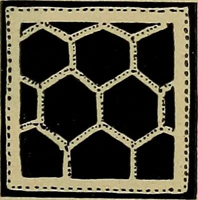 An illustration from Handbuch der Spitzenkunde, Technisches und Geschichtliches über die Näh-, Klöppel- und Maschinenspitzen, 1894, leaf 91