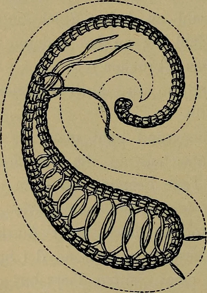 An illustration from Handbuch der Spitzenkunde, Technisches und Geschichtliches über die Näh-, Klöppel- und Maschinenspitzen, 1894, leaf 98