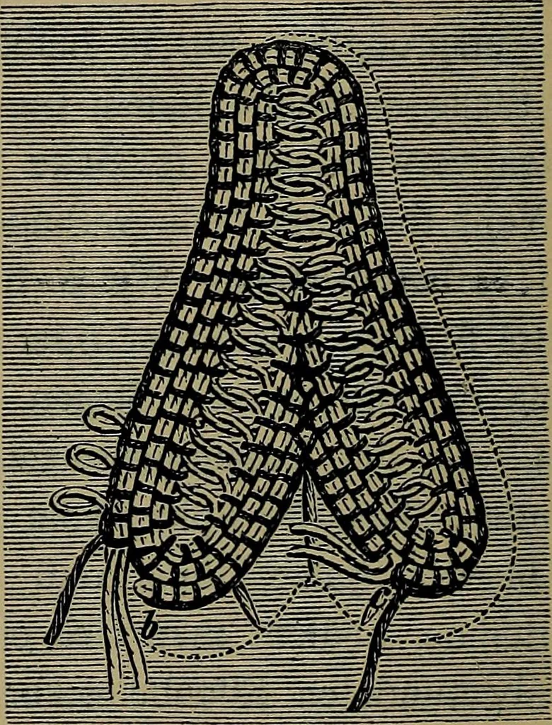 An illustration from Handbuch der Spitzenkunde, Technisches und Geschichtliches über die Näh-, Klöppel- und Maschinenspitzen, 1894, leaf 98