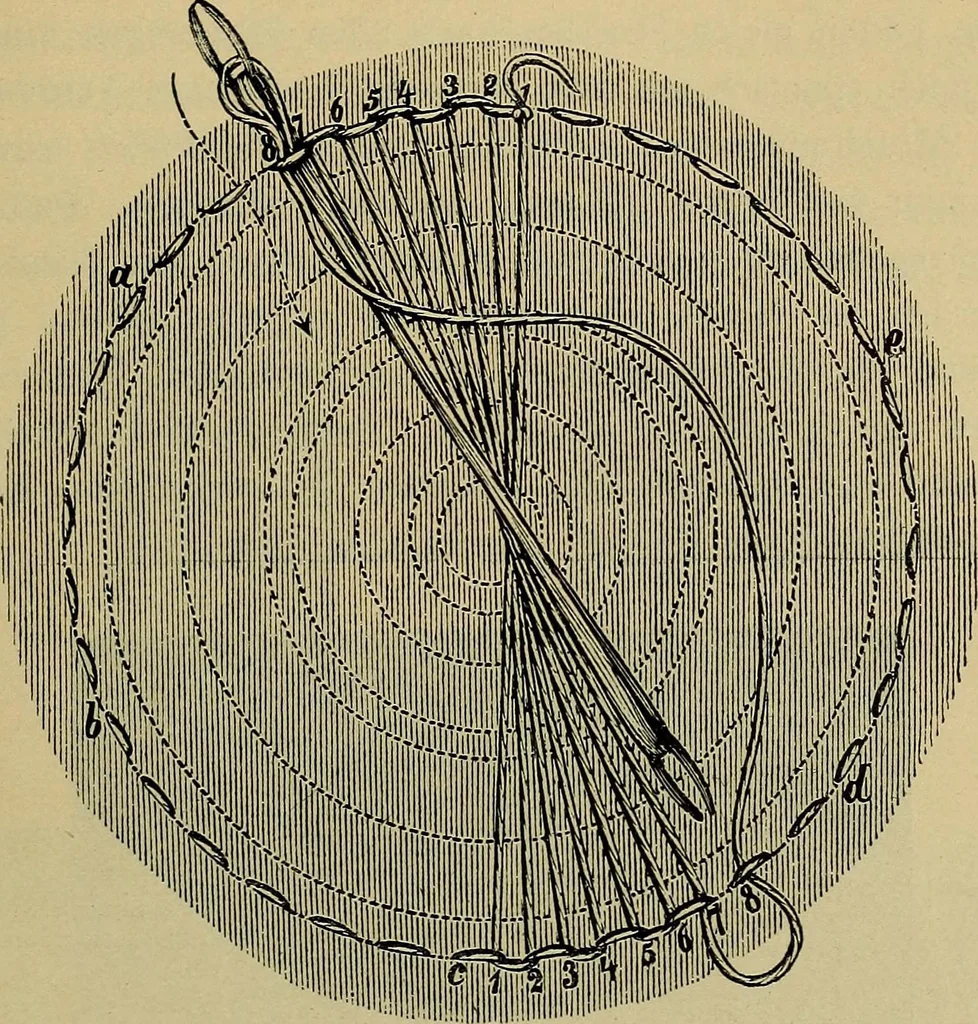 An illustration from Handbuch der Spitzenkunde, Technisches und Geschichtliches über die Näh-, Klöppel- und Maschinenspitzen, 1894, leaf 99