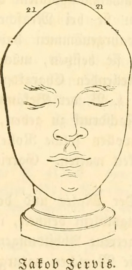 An illustration from Handbuch der Phrenologie, 1845, leaf 195