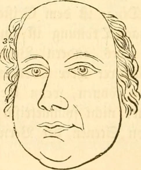 An illustration from Handbuch der Phrenologie, 1845, leaf 200