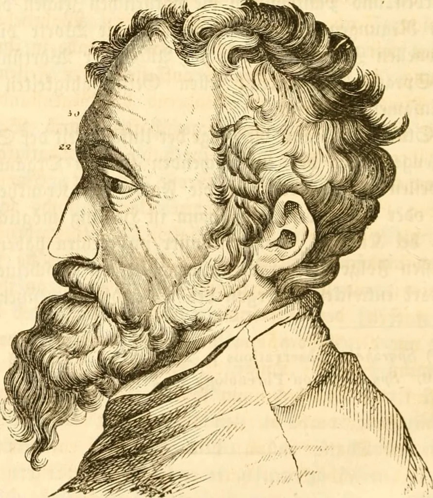 An illustration from Handbuch der Phrenologie, 1845, leaf 210
