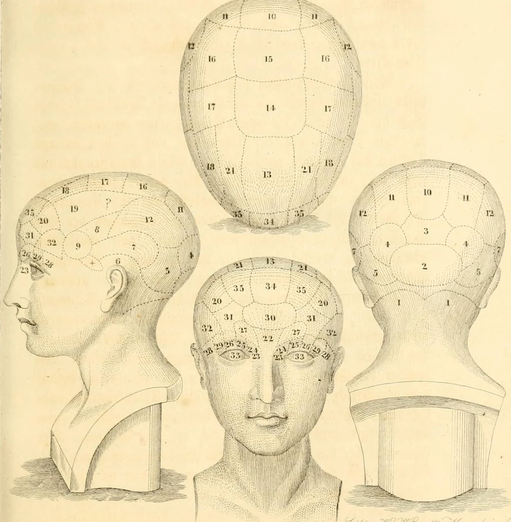 An illustration from Handbuch der Phrenologie, 1845, leaf 73