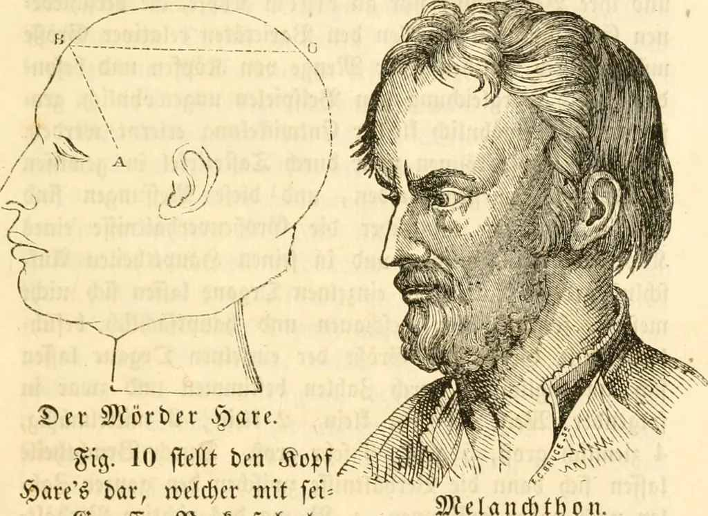 An illustration from Handbuch der Phrenologie, 1845, leaf 75