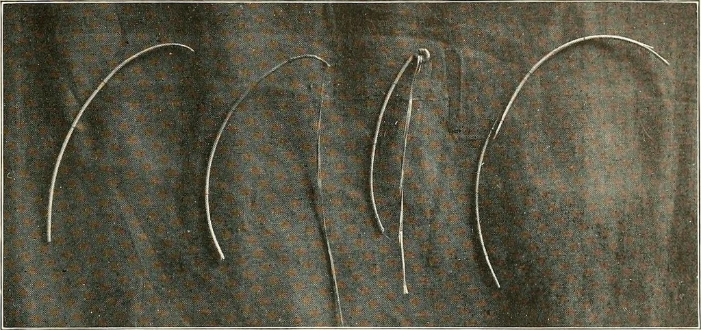 An illustration from Handicraft for girls; a tentative course in needlework, basketry, designing, paper and cardboard construction, textile fibers and fabrics and home decoration and care, designed for use in schools and homes, 1910, leaf 119